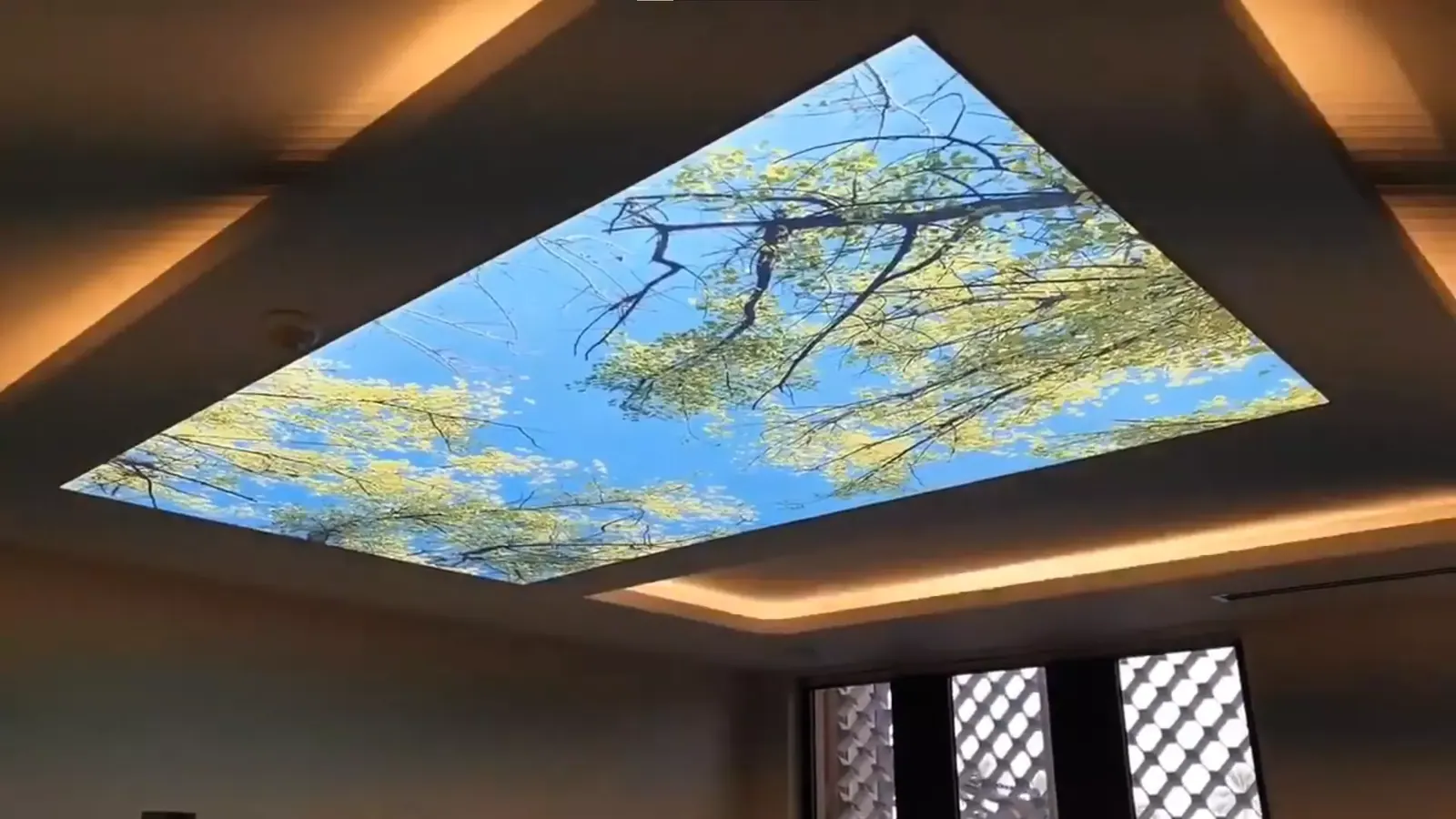 3D натяжной потолок — Тамбов, Сенько, 25а, фото 1
